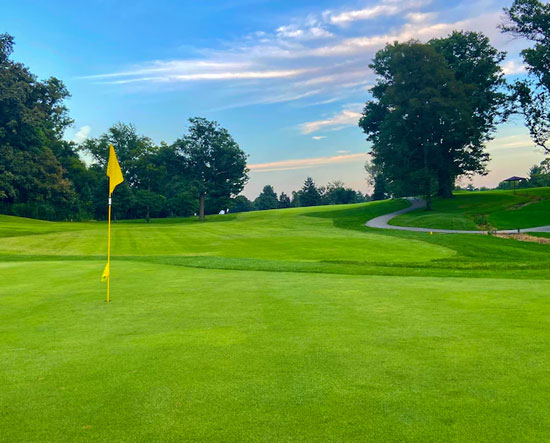 Golf Course Transfers